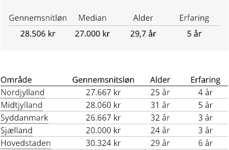 Webdesigner gennemsnitlig løn